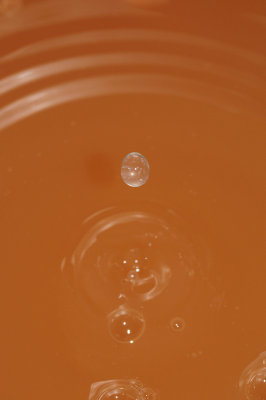 DSC_2019.JPG