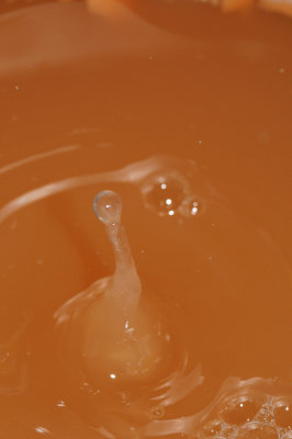 DSC_2020.JPG