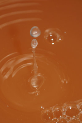 DSC_2022.JPG