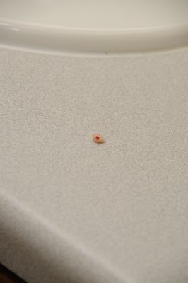 DSC_2044.JPG