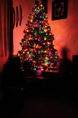DSC_2086.JPG