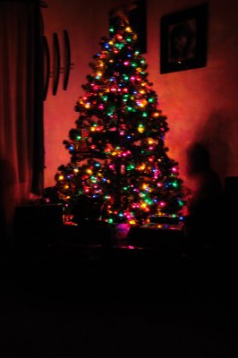 DSC_2087.JPG