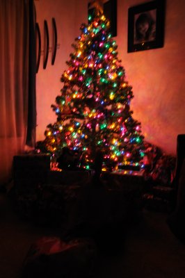 DSC_2088.JPG