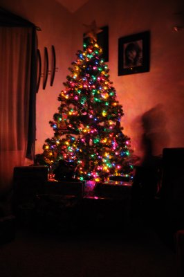 DSC_2092.JPG