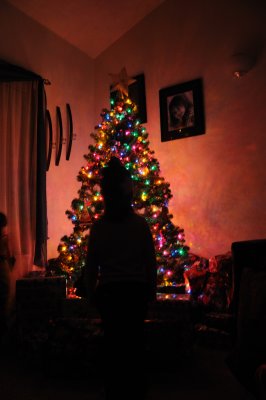 DSC_2095.JPG