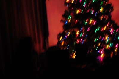 DSC_2101.JPG