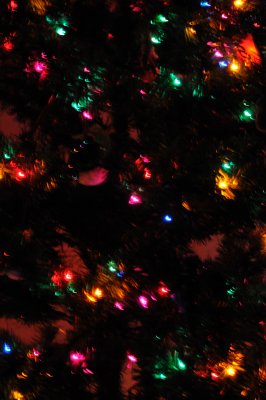 DSC_2105.JPG