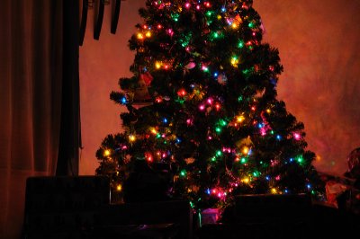 DSC_2129.JPG