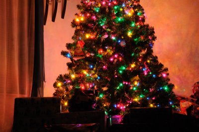 DSC_2130.JPG