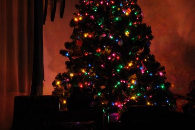 DSC_2132.JPG