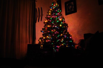 DSC_2133.JPG