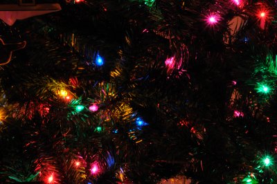 DSC_2158.JPG