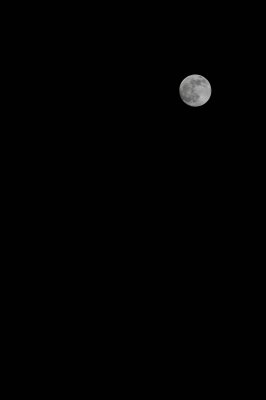 DSC_2451.JPG