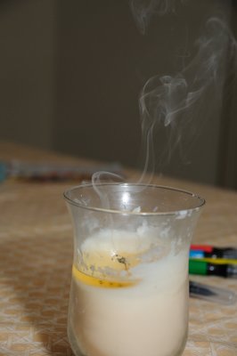 DSC_2493.JPG