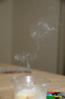 DSC_2494.JPG