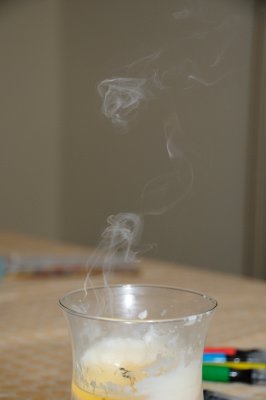 DSC_2495.JPG