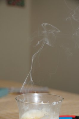 DSC_2496.JPG