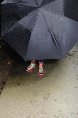 DSC_2704.JPG