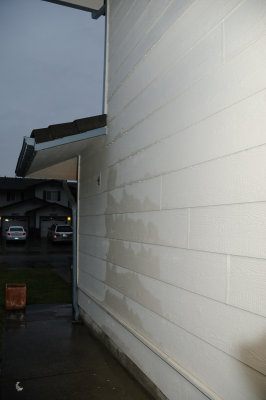 DSC_2771_01.JPG