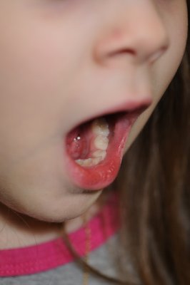 DSC_2897.JPG