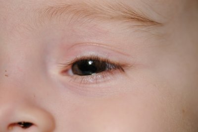 DSC_3077.JPG