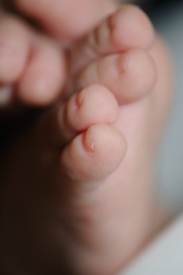 DSC_3105.JPG