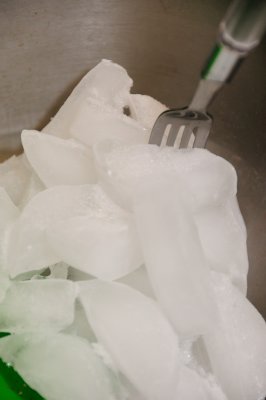 DSC_3197.JPG