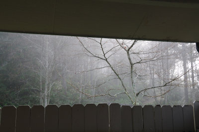 DSC_3271.JPG
