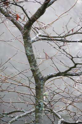 DSC_3274.JPG