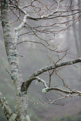 DSC_3275.JPG