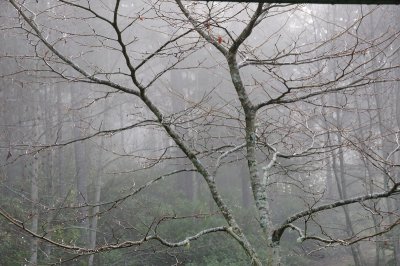 DSC_3276.JPG
