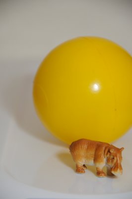 DSC_3517.JPG