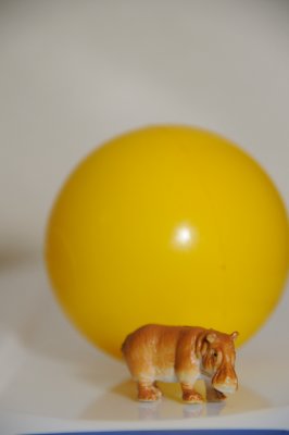 DSC_3518.JPG