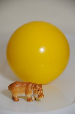 DSC_3521.JPG