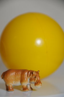 DSC_3522.JPG