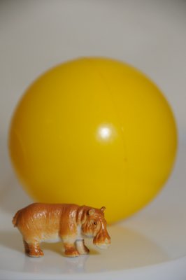 DSC_3524.JPG