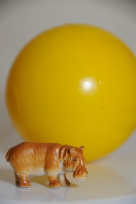 23-feb-10