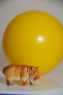 DSC_3527.JPG