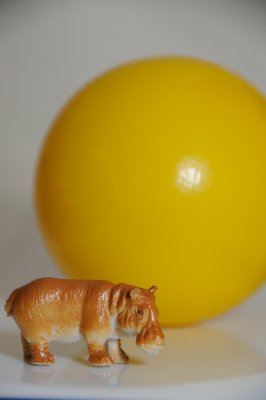 DSC_3528.JPG