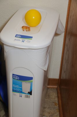 DSC_3529.JPG