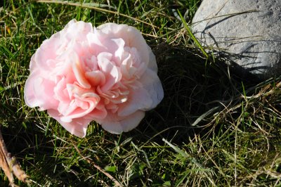 DSC_3754.JPG