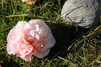 DSC_3756.JPG