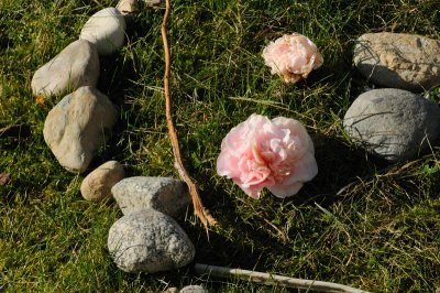 DSC_3764.JPG