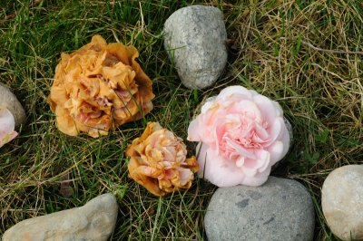 DSC_4089.JPG