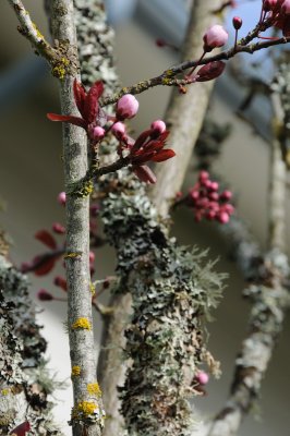 DSC_4090.JPG