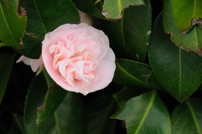 DSC_4110.JPG