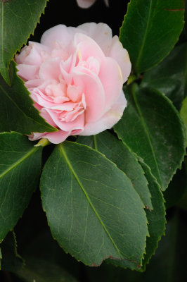 DSC_4113.JPG