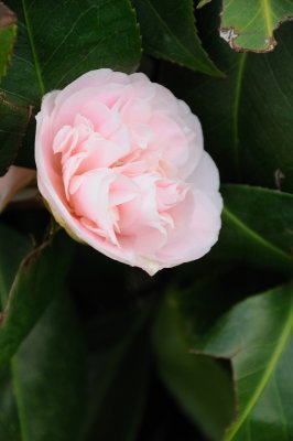 DSC_4116.JPG