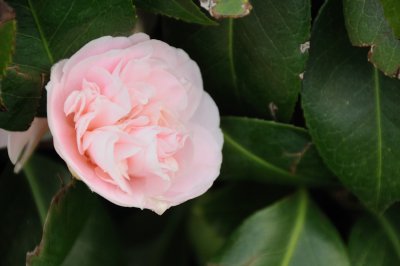 DSC_4118.JPG