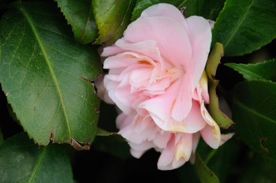 DSC_4119.JPG